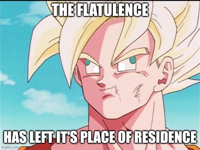 Goku Derp Face | THE FLATULENCE HAS LEFT IT'S PLACE OF RESIDENCE | image tagged in goku derp face | made w/ Imgflip meme maker