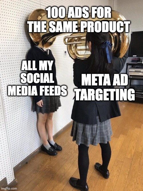 Ad Targeting | 100 ADS FOR THE SAME PRODUCT; ALL MY SOCIAL MEDIA FEEDS; META AD TARGETING | image tagged in girl putting tuba on girl's head | made w/ Imgflip meme maker