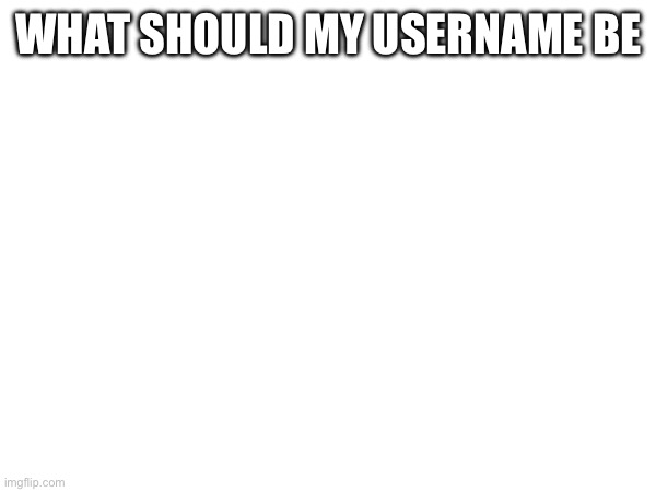 WHAT SHOULD MY USERNAME BE | made w/ Imgflip meme maker