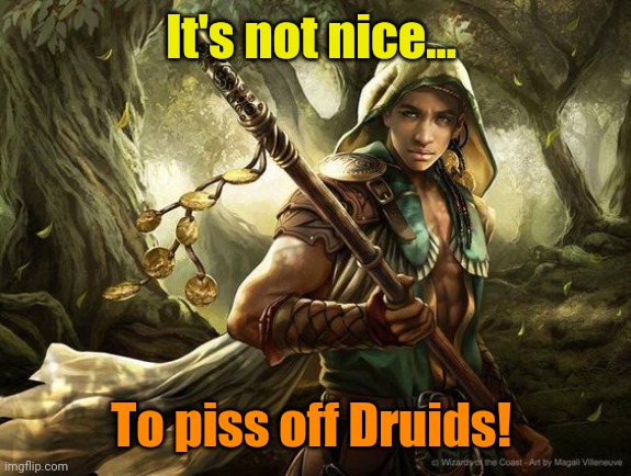 druid | It's not nice... To piss off Druids! | image tagged in druid | made w/ Imgflip meme maker