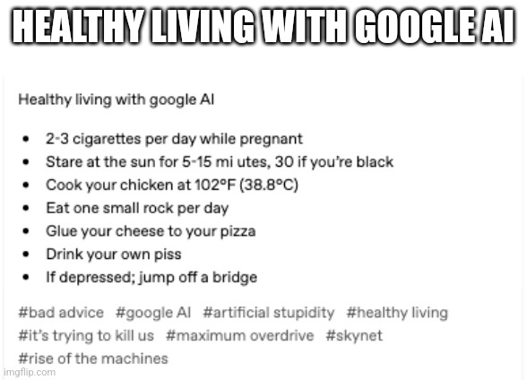 Healthy living with Google AI | HEALTHY LIVING WITH GOOGLE AI | image tagged in google,google ai,ai,artificial stupidity | made w/ Imgflip meme maker