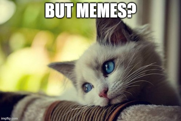 First World Problems Cat Meme | BUT MEMES? | image tagged in memes,first world problems cat | made w/ Imgflip meme maker