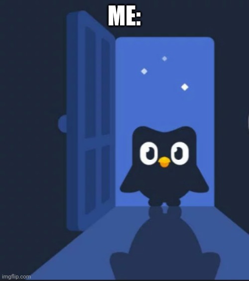 Duolingo bird | ME: | image tagged in duolingo bird | made w/ Imgflip meme maker