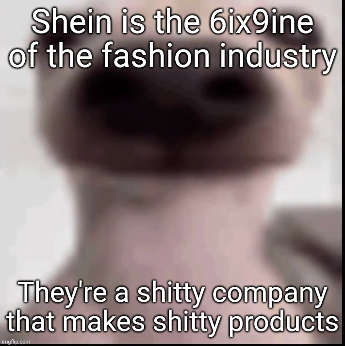 poopy | Shein is the 6ix9ine of the fashion industry; They're a shitty company that makes shitty products | image tagged in poopy | made w/ Imgflip meme maker