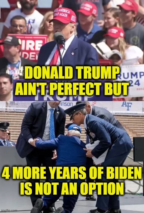 No other choice | DONALD TRUMP
AIN'T PERFECT BUT; 4 MORE YEARS OF BIDEN
IS NOT AN OPTION | image tagged in trump,biden | made w/ Imgflip meme maker