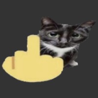 @nobodyatall | image tagged in cat holding up middle finger | made w/ Imgflip meme maker