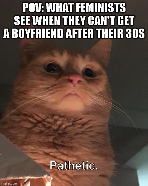 Meet your new overlord. | POV: WHAT FEMINISTS SEE WHEN THEY CAN'T GET A BOYFRIEND AFTER THEIR 30S | image tagged in overlord cat | made w/ Imgflip meme maker