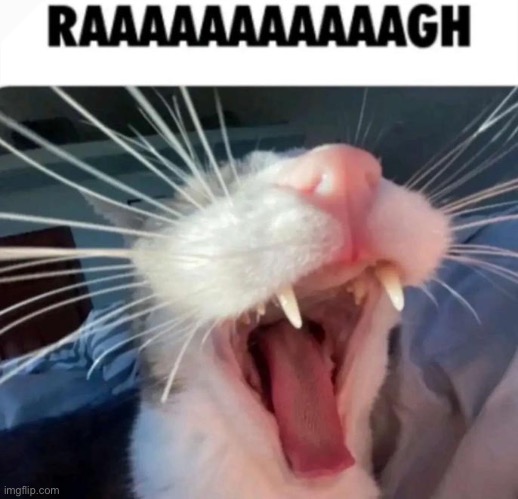 GRRR I HATE YOUTUBES INJECTED ADS!!!!! | made w/ Imgflip meme maker