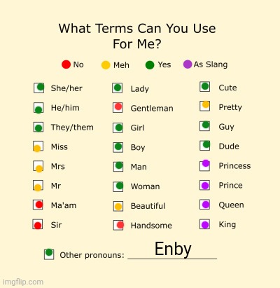Pronouns Sheet | Enby | image tagged in pronouns sheet | made w/ Imgflip meme maker