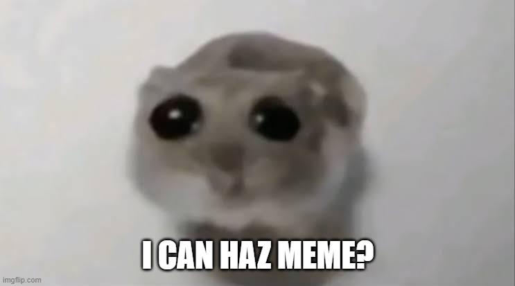 Sad Hamster | I CAN HAZ MEME? | image tagged in sad hamster | made w/ Imgflip meme maker