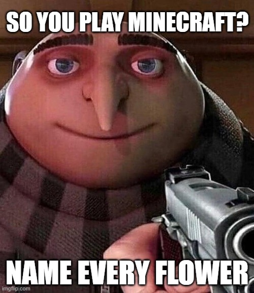 flower | SO YOU PLAY MINECRAFT? NAME EVERY FLOWER | image tagged in gru pointing gun | made w/ Imgflip meme maker