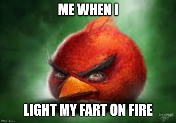 Realistic Red Angry Birds | ME WHEN I; LIGHT MY FART ON FIRE | image tagged in realistic red angry birds | made w/ Imgflip meme maker