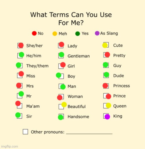 Pronouns Sheet | image tagged in pronouns sheet | made w/ Imgflip meme maker