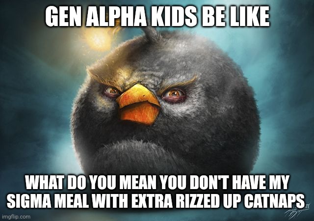 angry birds bomb | GEN ALPHA KIDS BE LIKE; WHAT DO YOU MEAN YOU DON'T HAVE MY SIGMA MEAL WITH EXTRA RIZZED UP CATNAPS | image tagged in angry birds bomb | made w/ Imgflip meme maker