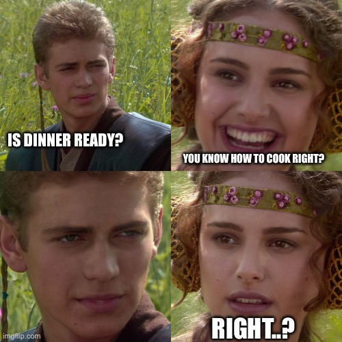 Anakin Padme 4 Panel | IS DINNER READY? YOU KNOW HOW TO COOK RIGHT? RIGHT..? | image tagged in anakin padme 4 panel | made w/ Imgflip meme maker