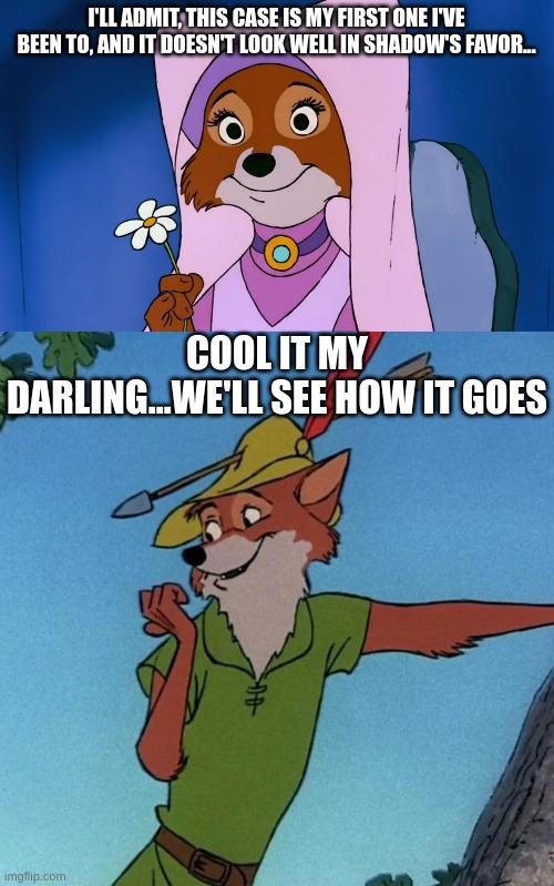 I'LL ADMIT, THIS CASE IS MY FIRST ONE I'VE BEEN TO, AND IT DOESN'T LOOK WELL IN SHADOW'S FAVOR... COOL IT MY DARLING...WE'LL SEE HOW IT GOES | image tagged in maid marian from robin hood,close call robin hood | made w/ Imgflip meme maker