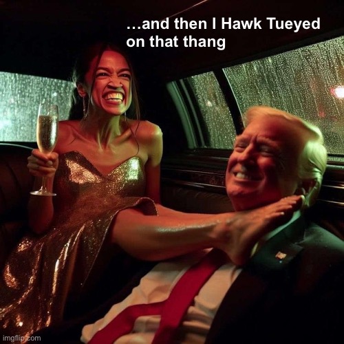 At least the bar tender is good for something | …and then I Hawk Tueyed 
on that thang | image tagged in aoc trump | made w/ Imgflip meme maker