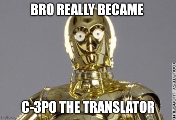 C-3PO | BRO REALLY BECAME C-3PO THE TRANSLATOR | image tagged in c-3po | made w/ Imgflip meme maker