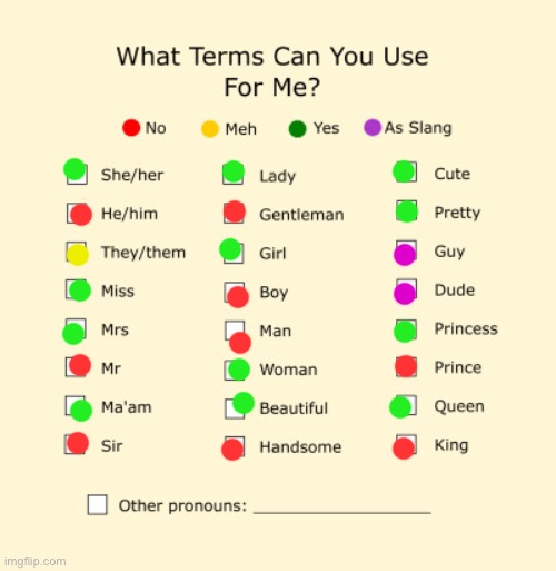 Yea | image tagged in pronouns sheet | made w/ Imgflip meme maker