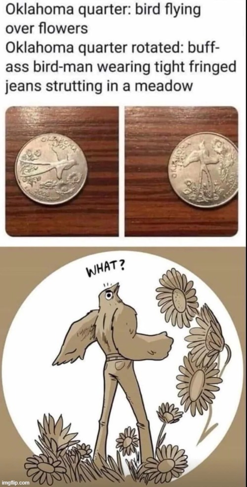image tagged in oklahoma,quarter,bird,flowers,buff,jeans | made w/ Imgflip meme maker