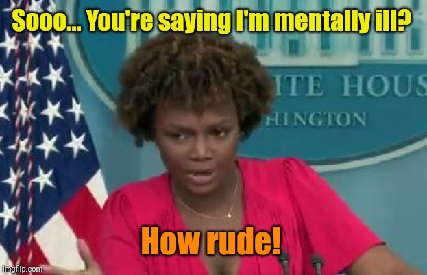 Karine Jean-Pierre does not approve | Sooo... You're saying I'm mentally ill? How rude! | image tagged in karine jean-pierre does not approve | made w/ Imgflip meme maker