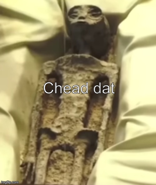 Chead dat | image tagged in alien | made w/ Imgflip meme maker