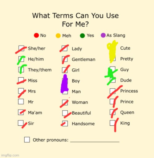 Meh means that there is one specific guy who can call me that, and he knows who he is | image tagged in pronouns sheet | made w/ Imgflip meme maker