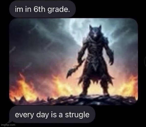 made w/ Imgflip meme maker