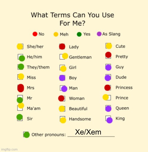 Pronouns Sheet | Xe/Xem | image tagged in pronouns sheet | made w/ Imgflip meme maker