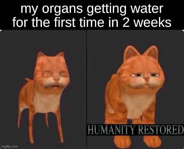 mmm liquid dihydrogen monoxide | my organs getting water for the first time in 2 weeks | image tagged in humanity restored | made w/ Imgflip meme maker