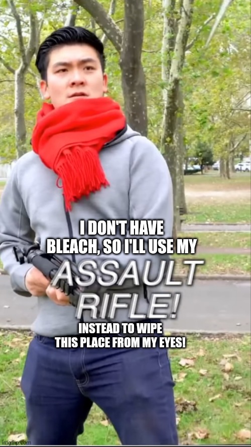 Assault rifle | I DON'T HAVE BLEACH, SO I'LL USE MY; INSTEAD TO WIPE THIS PLACE FROM MY EYES! | image tagged in assault rifle | made w/ Imgflip meme maker