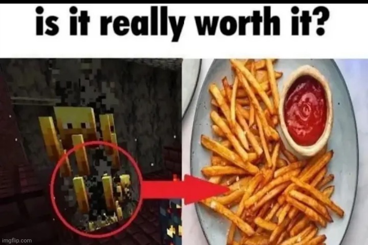 image tagged in memes,shitpost,minecraft,french fries,oh wow are you actually reading these tags | made w/ Imgflip meme maker