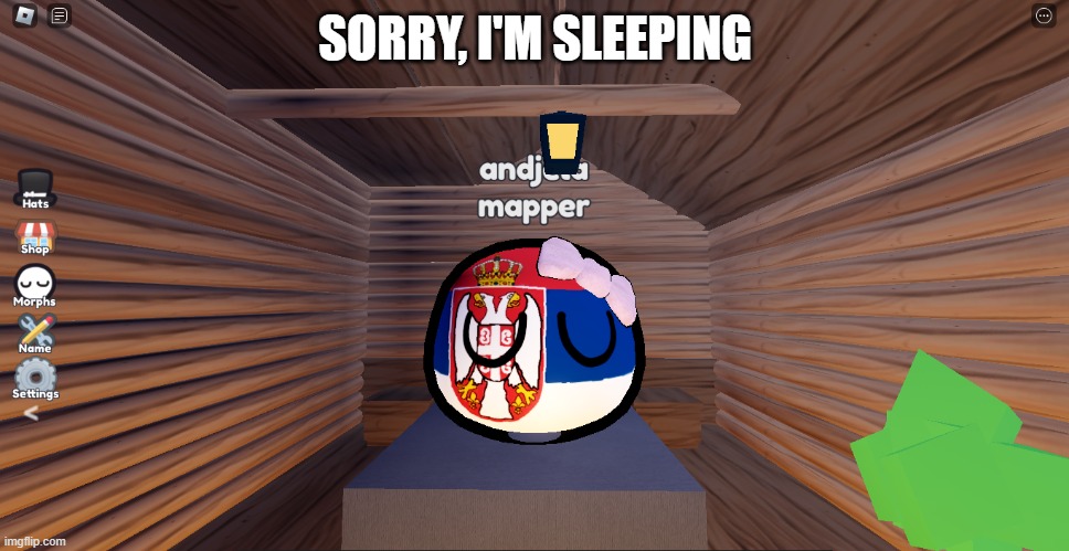 andjela mapper sleeping | SORRY, I'M SLEEPING | image tagged in andjela mapper sleeping,andjela mapper,serbiaball,serbia,countryballs,sleeping | made w/ Imgflip meme maker