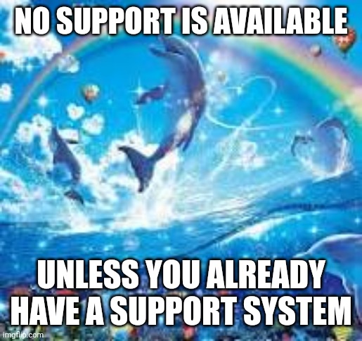How life feels when: | NO SUPPORT IS AVAILABLE; UNLESS YOU ALREADY HAVE A SUPPORT SYSTEM | image tagged in how life feels when | made w/ Imgflip meme maker