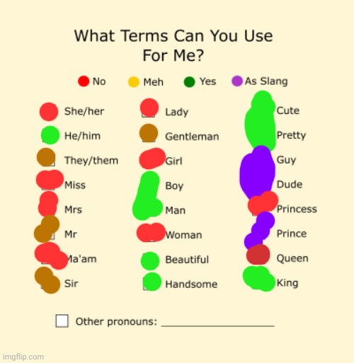 Pronouns Sheet | image tagged in pronouns sheet | made w/ Imgflip meme maker