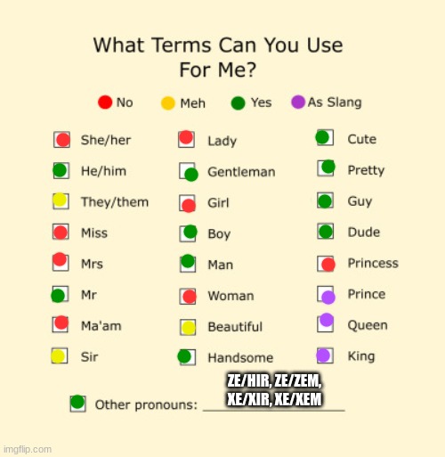 Pronouns Sheet | ZE/HIR, ZE/ZEM, XE/XIR, XE/XEM | image tagged in pronouns sheet | made w/ Imgflip meme maker