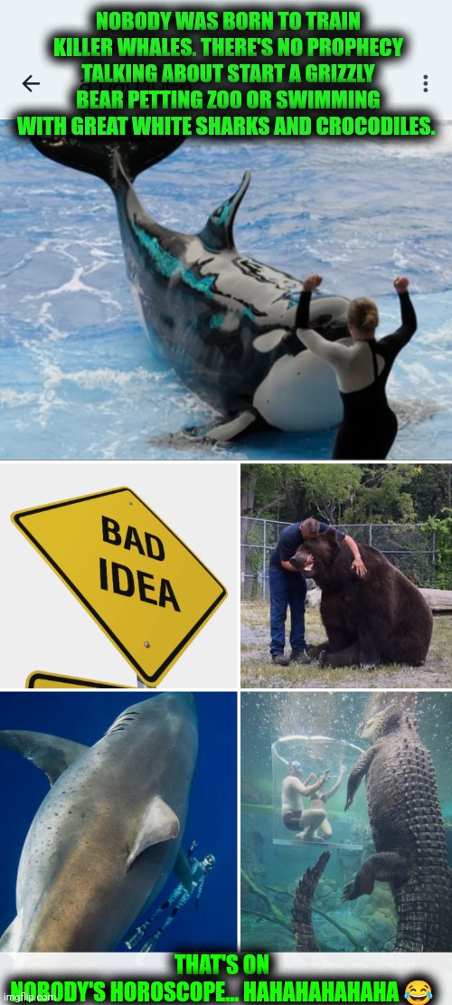 Funny | NOBODY WAS BORN TO TRAIN KILLER WHALES. THERE'S NO PROPHECY TALKING ABOUT START A GRIZZLY BEAR PETTING ZOO OR SWIMMING WITH GREAT WHITE SHARKS AND CROCODILES. THAT'S ON NOBODY'S HOROSCOPE... HAHAHAHAHAHA 😂 | image tagged in funny,horoscope,animal,prophecy,bad idea,job | made w/ Imgflip meme maker