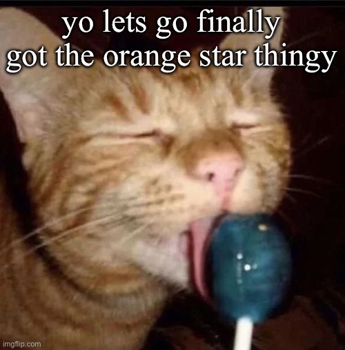 silly goober 2 | yo lets go finally got the orange star thingy | image tagged in silly goober 2 | made w/ Imgflip meme maker