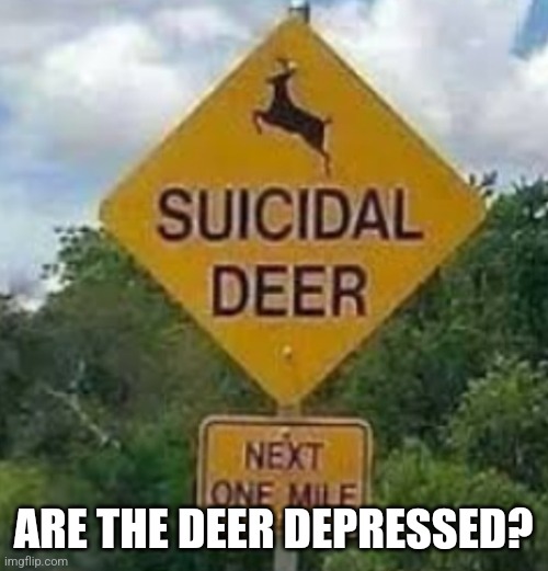 World's stupidest signs part 2 | ARE THE DEER DEPRESSED? | image tagged in you had one job,why are you like this,deer | made w/ Imgflip meme maker