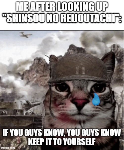 Thousand yard stare cat | ME AFTER LOOKING UP "SHINSOU NO REIJOUTACHI":; IF YOU GUYS KNOW, YOU GUYS KNOW
KEEP IT TO YOURSELF | image tagged in thousand yard stare cat,if you know you know | made w/ Imgflip meme maker
