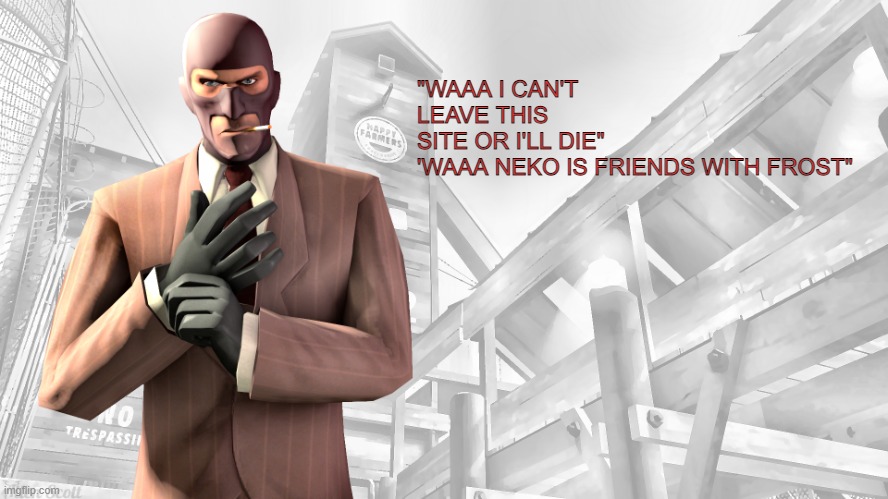 alr i'm done for now, enjoy Cheez having his tanturm | "WAAA I CAN'T LEAVE THIS SITE OR I'LL DIE"

'WAAA NEKO IS FRIENDS WITH FROST" | image tagged in tf2 spy casual yapping temp | made w/ Imgflip meme maker