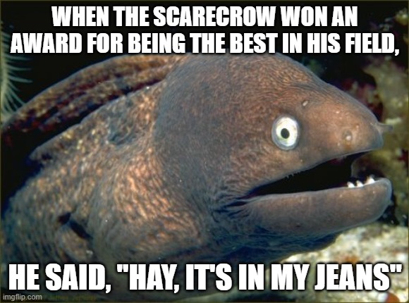 Bad Joke Eel Meme | WHEN THE SCARECROW WON AN AWARD FOR BEING THE BEST IN HIS FIELD, HE SAID, "HAY, IT'S IN MY JEANS" | image tagged in memes,bad joke eel | made w/ Imgflip meme maker