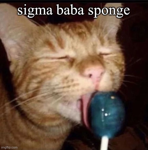 silly goober 2 | sigma baba sponge | image tagged in silly goober 2 | made w/ Imgflip meme maker