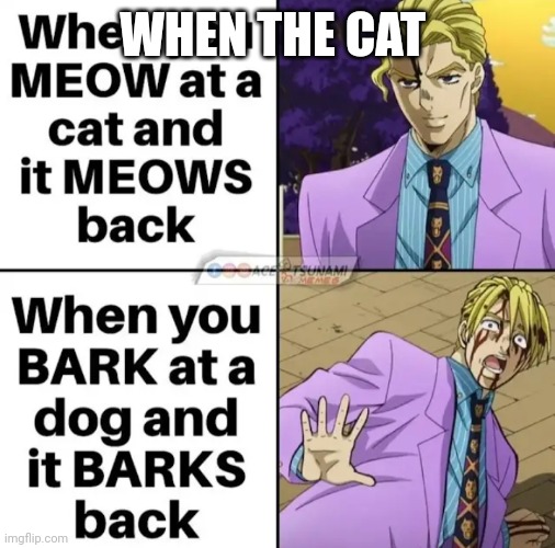 WHEN THE CAT | made w/ Imgflip meme maker