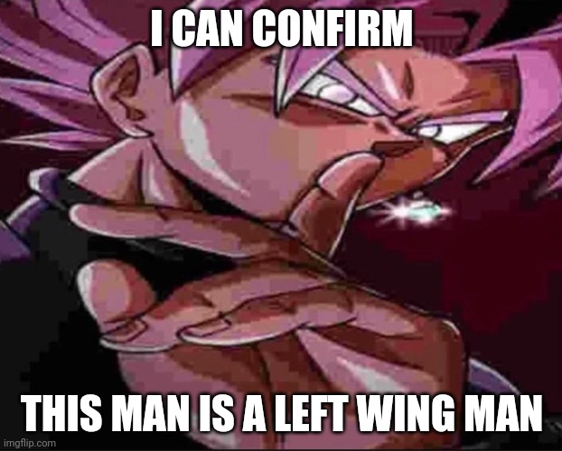 Goku Black shh | I CAN CONFIRM THIS MAN IS A LEFT WING MAN | image tagged in goku black shh | made w/ Imgflip meme maker