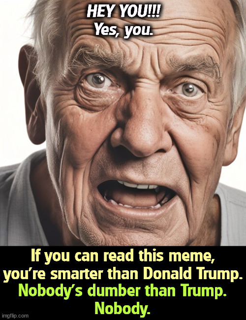 Attention: Meme Readers | HEY YOU!!!
Yes, you. If you can read this meme, you're smarter than Donald Trump. Nobody's dumber than Trump.
Nobody. | image tagged in trump,convicted felon,dumb,dumb and dumber,ignorant | made w/ Imgflip meme maker