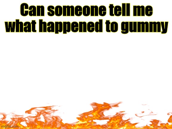 Blank White Template | Can someone tell me what happened to gummy | image tagged in blank white template | made w/ Imgflip meme maker