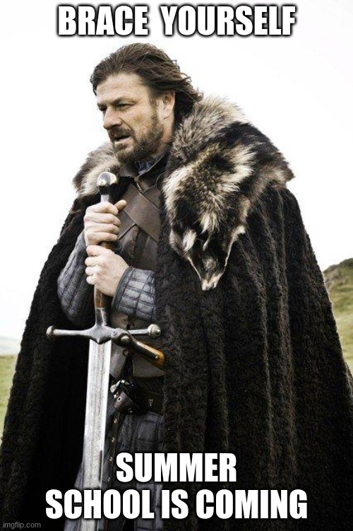 Brace Yourself | BRACE  YOURSELF; SUMMER SCHOOL IS COMING | image tagged in brace yourself | made w/ Imgflip meme maker