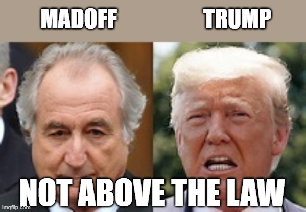 MADOFF                    TRUMP; NOT ABOVE THE LAW | made w/ Imgflip meme maker