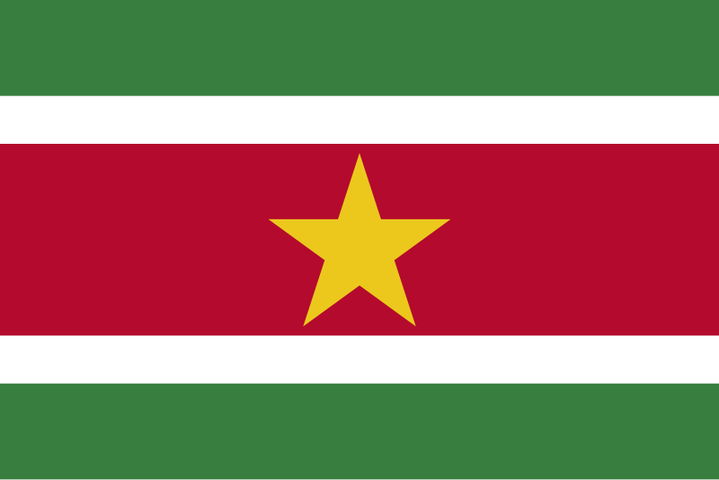 Suriname Flag Blank Meme Template